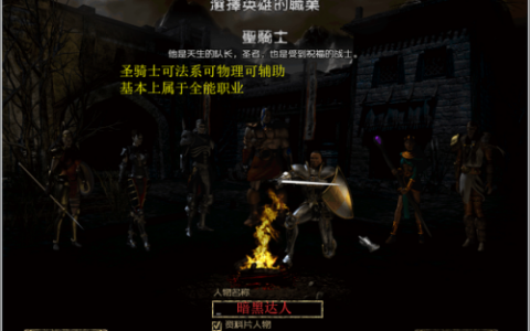 暗黑2圣骑士新手指导(暗黑2圣骑士最强玩法加点)