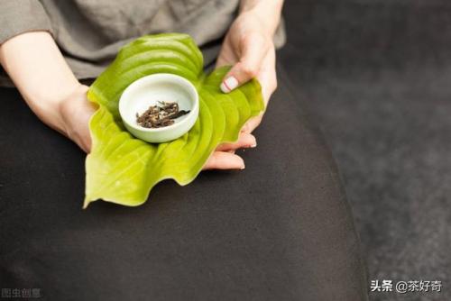 兰茶前十香水排名(全球最好闻的十大香水)插图12