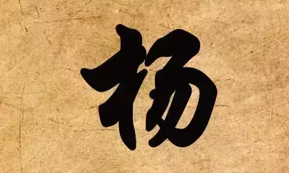 河北姓蔡族谱排名前十(三槐堂族谱)插图9