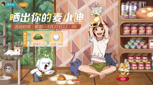 小森生活麦小迪领取方法分享(小森生活测试版)插图