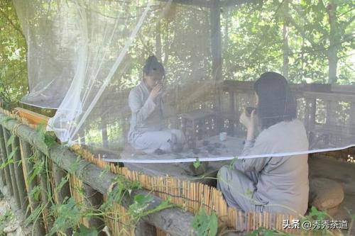 西安茶艺培训排行榜(茶艺师培训机构哪家好)插图9