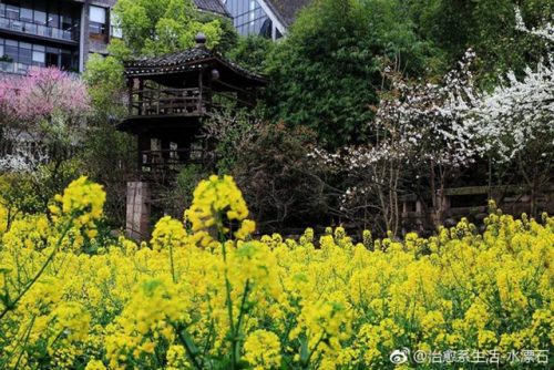 高校校花排行榜图片(全国高校女神排行榜)插图43