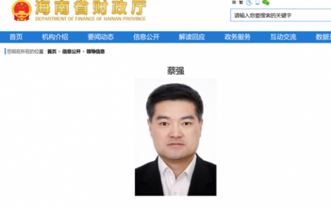 海南财税专家排名前十(海南大麦财税怎么样)