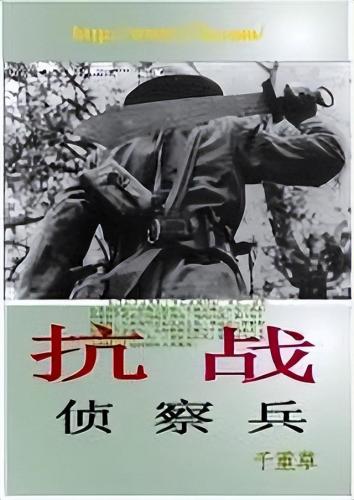 完本穿越抗战小说排行榜(穿越抗战小说十大经典穿越)插图1