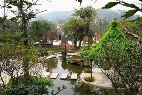 乐山婚庆酒楼排名前十(乐山上档次的中餐酒楼)插图36