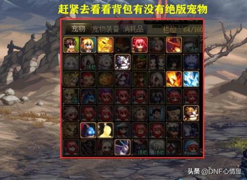 dnf拍卖行能买宠物吗(dnf二觉宠物现在还能得嘛)插图7
