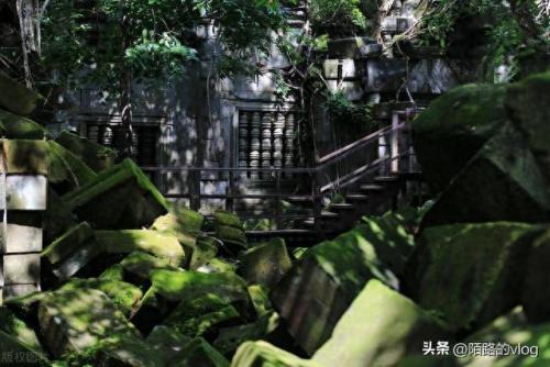 好莱坞十大经典电影排行榜(一生必看10部电影)插图2
