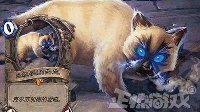 魔兽世界橙匕任务在哪接(橙匕任务绝版了吗)插图6