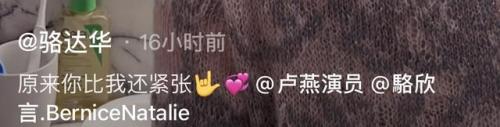 骆达华卢燕(骆达华老婆卢燕是哪里人)插图