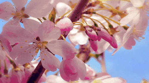 长沙高校校花排名前十(长沙校花)插图30