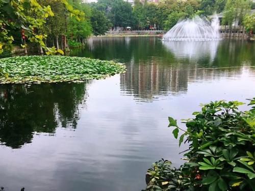 广州公园排行榜(广州的旅游景点推荐)插图7