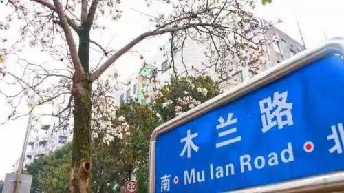 长沙高校校花排名前十(长沙校花)插图13