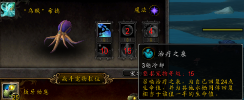 魔兽世界利用宠物对战升级攻略(魔兽世界四风谷无限刷小宠物)插图5