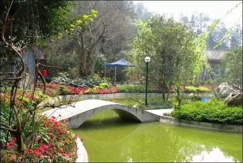 乐山婚庆酒楼排名前十(乐山上档次的中餐酒楼)插图37