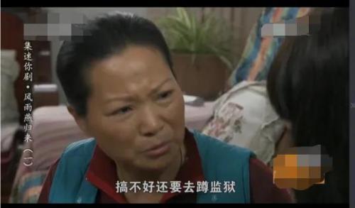 普法栏目剧风雨燕归来(普法栏目剧拐卖系列)插图