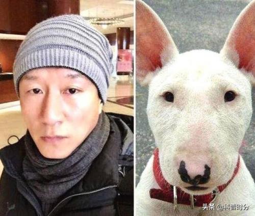 盘点凶猛动物排名前十(凶猛异常的动物)插图3
