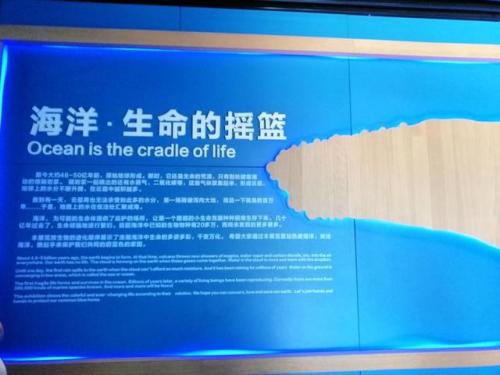 红顶剑龙(神奇宝贝最强50官方排名)插图11
