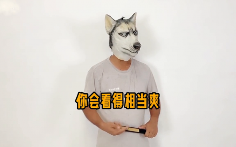 斗罗同人小说排行榜(斗罗-顶级天赋,开局被小舞告白)