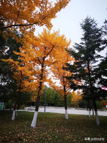 鞍山站前(鞍山站到鞍山西站多远)插图10