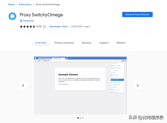 代理浏览器(可以进入任何网站的浏览器)插图1