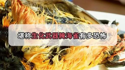 难吃的食物排行榜(十大难以接受的食物)插图1
