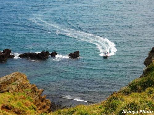 济州岛旅游攻略(济州岛必去的十大景点)插图40