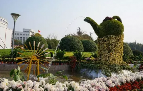 高校校花排行榜图片(全国高校女神排行榜)插图48