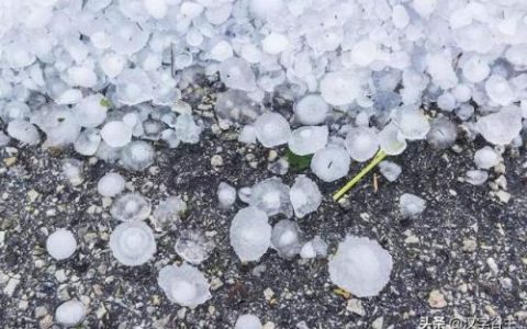 雹组词拼音(揪组词两个字的词语)