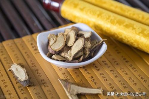 桑寄生的功效与作用及食用方法(钩藤的功效与作用)插图5