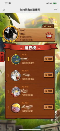 部落冲突｜涂鸦艺术、福利大曝光-英雄配战宠，冲！(部落冲突萌宠)插图8