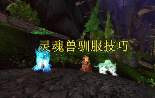 魔兽世界哪个灵魂兽最好抓(80级拉怪最稳的灵魂兽)插图