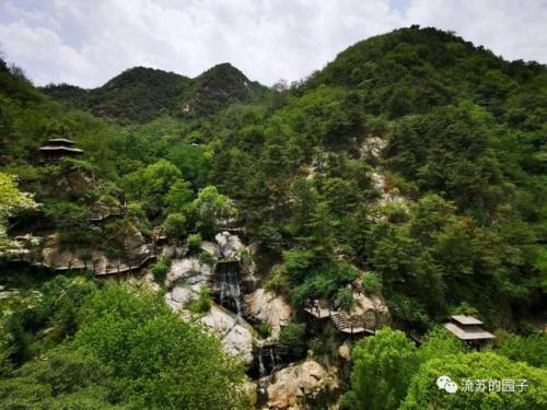 翡翠王国(翡翠到底)插图9