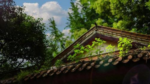 武汉好玩的排行榜(武汉最值得玩的地方)插图44