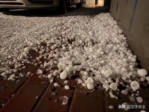 雹组词拼音(揪组词两个字的词语)插图15