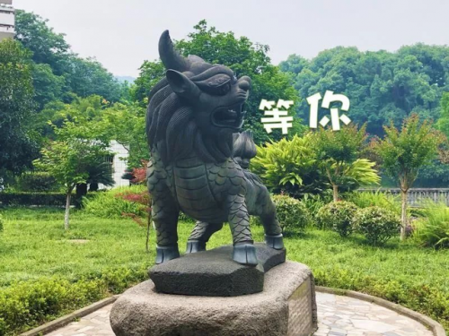西政阳光公社(西政新传考研复试内容)插图13