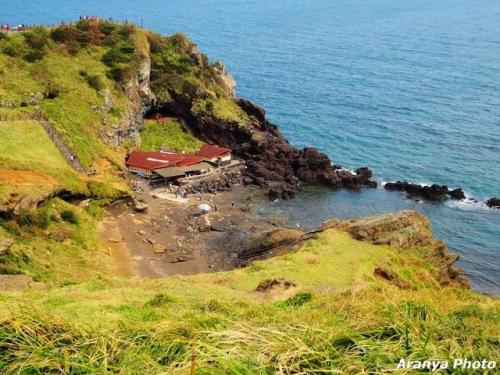 济州岛旅游攻略(济州岛必去的十大景点)插图39