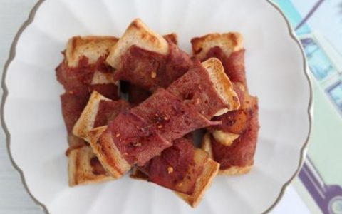 培根简介(培根是文学家还是科学家)