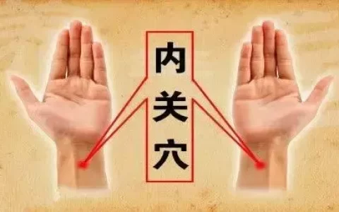 奇经八脉(十二正经走向图)