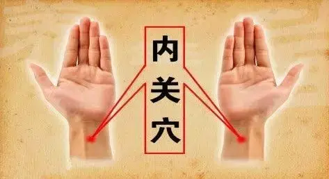 奇经八脉(十二正经走向图)插图