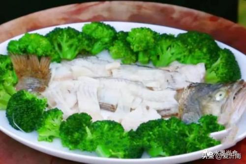鲈鱼图片(淡水鲈鱼)插图10