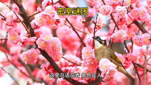 谜团密室攻略(迷室3全关卡图文攻略)插图2