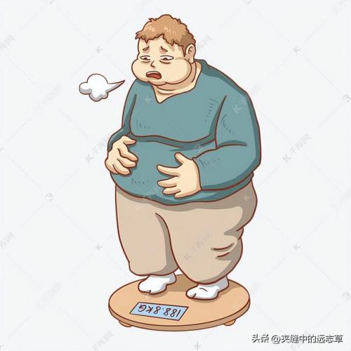 中药药材热量排名前十(中药一般有几卡路里)插图3