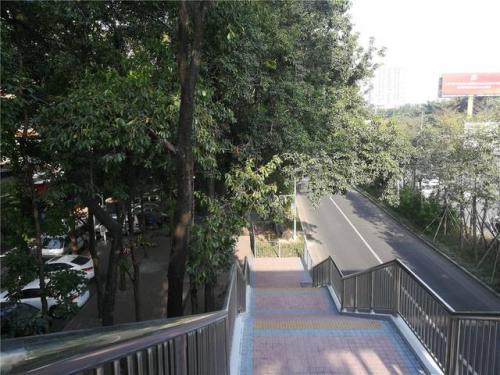 深圳兴达人才市场(西丽人才市场)插图3