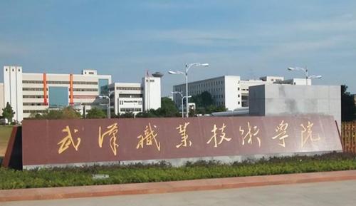 武汉专科排行榜(武汉市职业技术学校排名)插图1