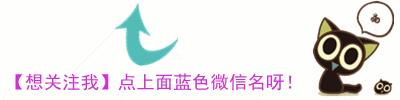 排名前十公安宣传号(公安的编号怎么编号的)插图