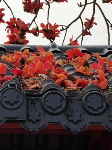 东莞高校校花排名前十(东莞最好的大学是哪一所)插图18