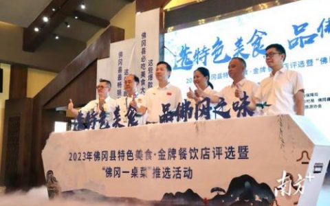 佛冈酒店美食排名前十(佛冈汤塘镇有什么好吃的)