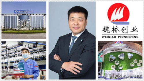 山东富豪榜排行榜(2020山东富豪榜500名)插图9