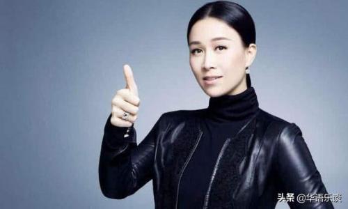 网络歌手排行榜2010(2005到2009年网络歌手)插图9