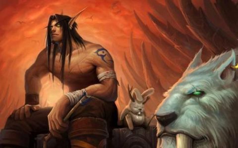 魔兽新手猎人攻略(魔兽猎人的最佳种族)